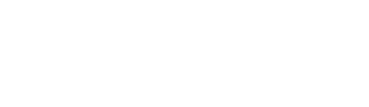 C20 Conferencia Bitcoin + Blockchain